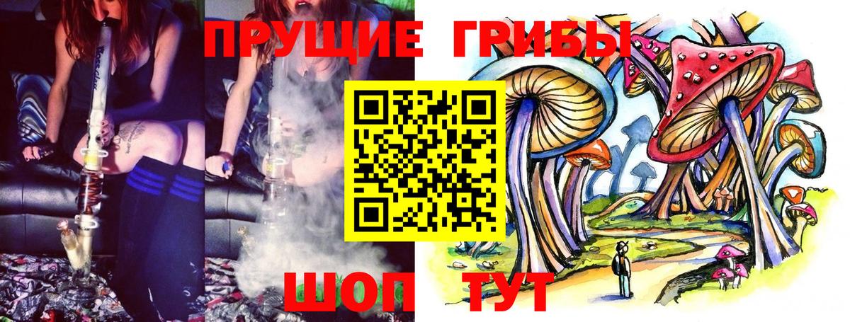Ижевск  Псилоцибиновые грибы ЛСД  Вход с VPN 